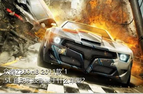 众泰Z200HB 2011款 1.5L 自动科技型属于什么车型？