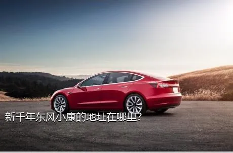 新千年东风小康的地址在哪里？