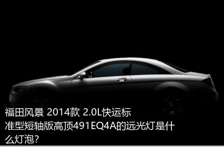 福田风景 2014款 2.0L快运标准型短轴版高顶491EQ4A的远光灯是什么灯泡？