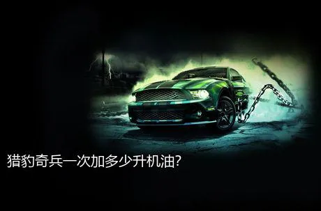 猎豹奇兵一次加多少升机油？