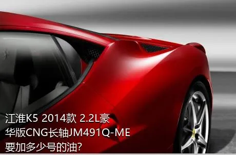 江淮K5 2014款 2.2L豪华版CNG长轴JM491Q-ME要加多少号的油？