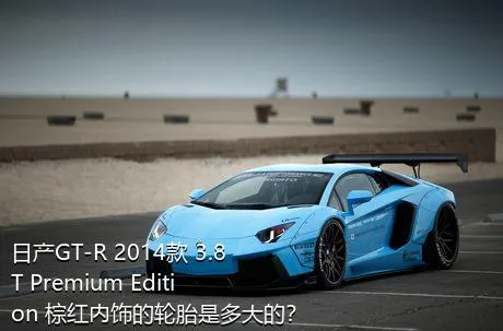 日产GT-R 2014款 3.8T Premium Edition 棕红内饰的轮胎是多大的？