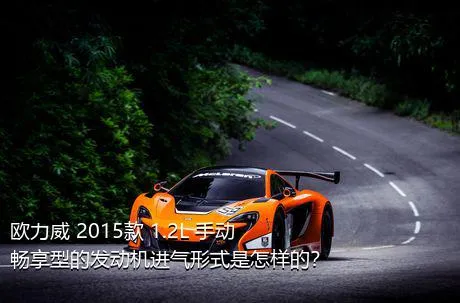 欧力威 2015款 1.2L 手动畅享型的发动机进气形式是怎样的？