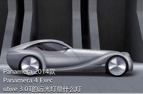 Panamera 2014款 Panamera 4 Executive 3.0T的远光灯是什么灯泡？