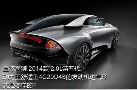 金杯海狮 2014款 2.0L第五代动力王舒适型4G20D4B的发动机进气形式是怎样的？
