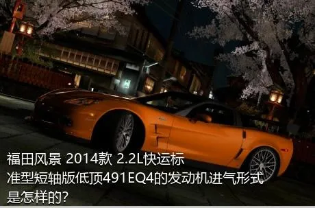 福田风景 2014款 2.2L快运标准型短轴版低顶491EQ4的发动机进气形式是怎样的？