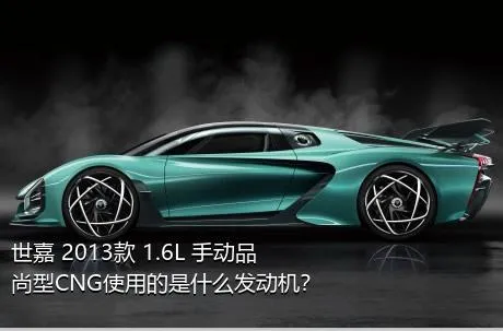 世嘉 2013款 1.6L 手动品尚型CNG使用的是什么发动机？