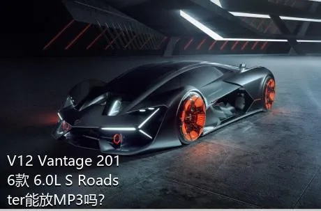 V12 Vantage 2016款 6.0L S Roadster能放MP3吗？