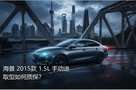 海景 2015款 1.5L 手动进取型如何质保？