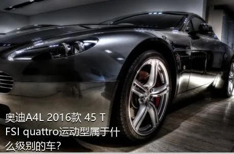 奥迪A4L 2016款 45 TFSI quattro运动型属于什么级别的车？