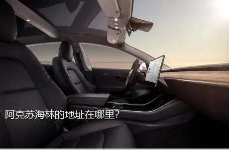 阿克苏海林的地址在哪里？