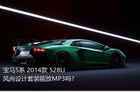 宝马5系 2014款 528Li 风尚设计套装能放MP3吗？