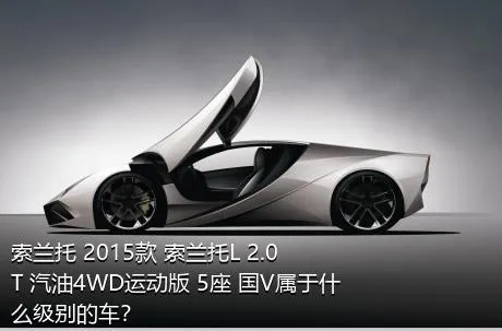 索兰托 2015款 索兰托L 2.0T 汽油4WD运动版 5座 国V属于什么级别的车？