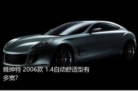 雅绅特 2006款 1.4自动舒适型有多宽？