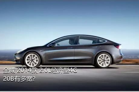 金威 2014款 2.0L经济型4G20B有多宽？