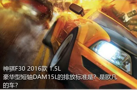 神骐F30 2016款 1.5L豪华型短轴DAM15L的排放标准是？是欧几的车？