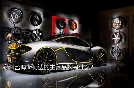 泉州盈海斯柯达的主营品牌是什么？