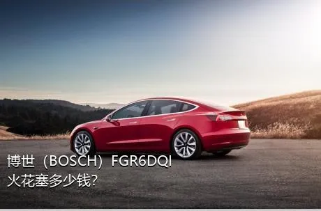 博世（BOSCH）FGR6DQI火花塞多少钱？