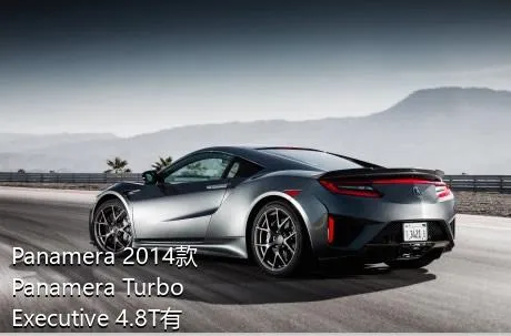 Panamera 2014款 Panamera Turbo Executive 4.8T有没有前雾灯？