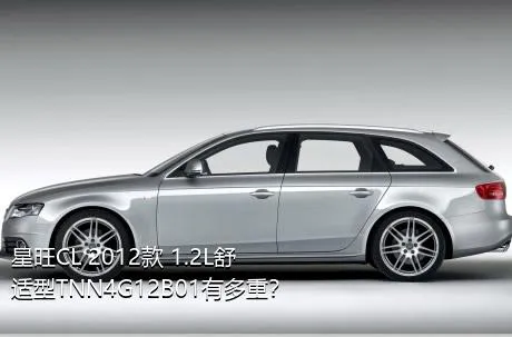 星旺CL 2012款 1.2L舒适型TNN4G12B01有多重？
