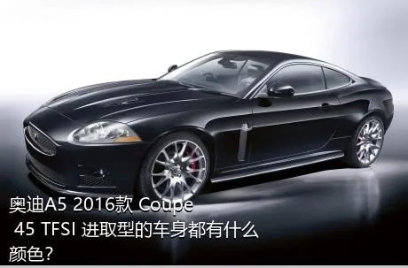 奥迪A5 2016款 Coupe 45 TFSI 进取型的车身都有什么颜色？