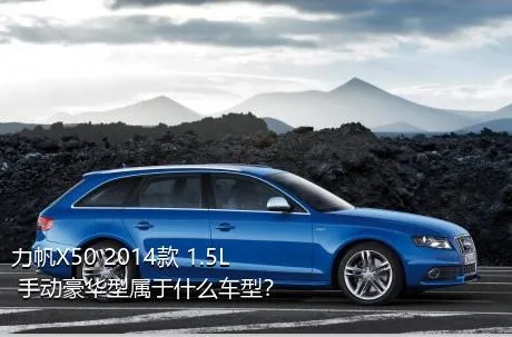 力帆X50 2014款 1.5L 手动豪华型属于什么车型？