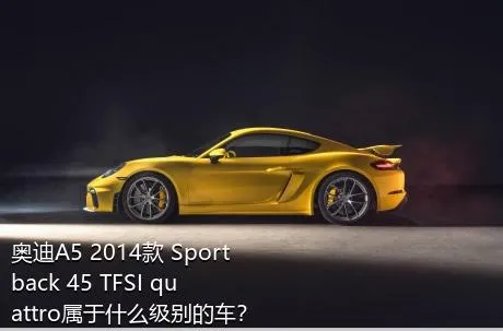 奥迪A5 2014款 Sportback 45 TFSI quattro属于什么级别的车？