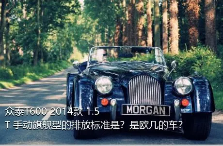 众泰T600 2014款 1.5T 手动旗舰型的排放标准是？是欧几的车？
