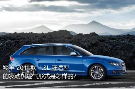 羚羊 2011款 1.3L 舒适型的发动机进气形式是怎样的？