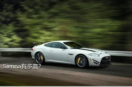Sienna有多高？