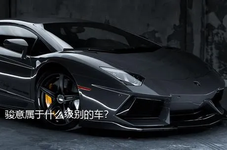骏意属于什么级别的车？