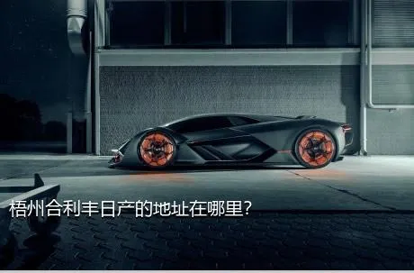 梧州合利丰日产的地址在哪里？