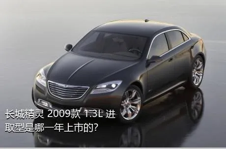 长城精灵 2009款 1.3L 进取型是哪一年上市的？