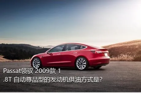 Passat领驭 2009款 1.8T 自动尊品型的发动机供油方式是？