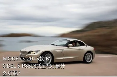 MODEL S 2015款 MODEL S P85D的近光灯是什么灯泡？