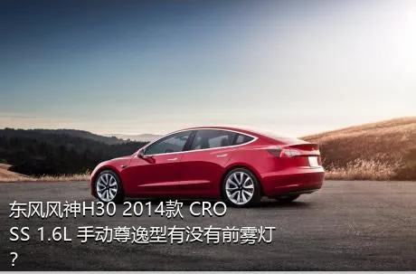 东风风神H30 2014款 CROSS 1.6L 手动尊逸型有没有前雾灯？