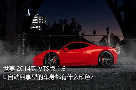 世嘉 2014款 VTS版 1.6L 自动品享型的车身都有什么颜色？