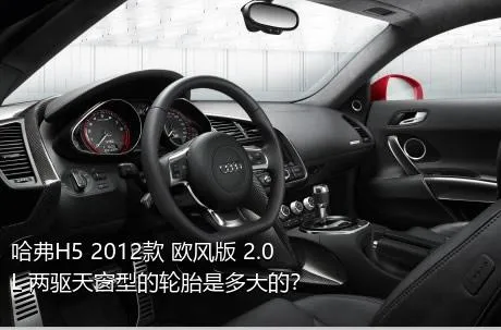 哈弗H5 2012款 欧风版 2.0L 两驱天窗型的轮胎是多大的？