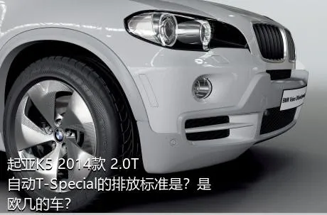 起亚K5 2014款 2.0T 自动T-Special的排放标准是？是欧几的车？