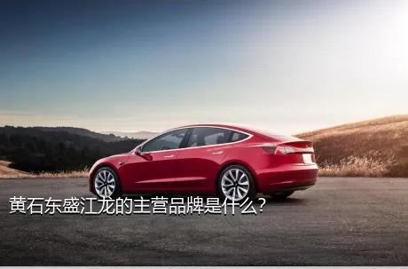 黄石东盛江龙的主营品牌是什么？