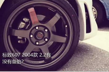 标致607 2004款 2.2有没有备胎？