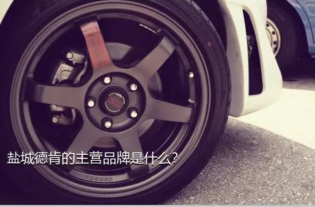 盐城德肯的主营品牌是什么？