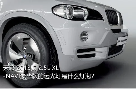 天籁 2013款 2.5L XL-NAVI豪华版的远光灯是什么灯泡？