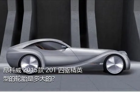 昂科威 2015款 20T 四驱精英型的轮胎是多大的？