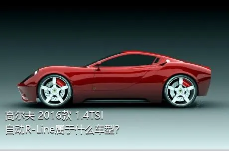 高尔夫 2016款 1.4TSI 自动R-Line属于什么车型？