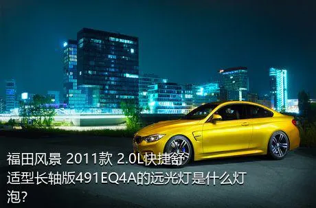 福田风景 2011款 2.0L快捷舒适型长轴版491EQ4A的远光灯是什么灯泡？