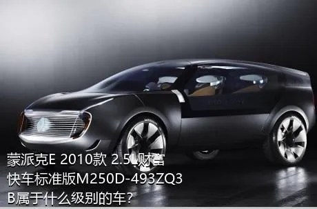 蒙派克E 2010款 2.5L财富快车标准版M250D-493ZQ3B属于什么级别的车？