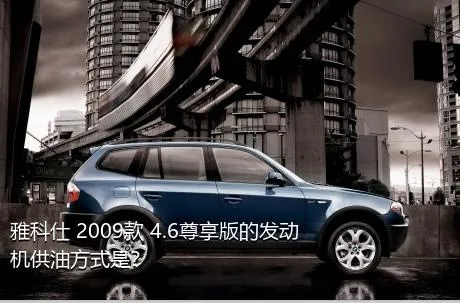 雅科仕 2009款 4.6尊享版的发动机供油方式是？