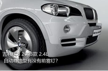 吉利EC8 2013款 2.4L 自动尊贵型有没有前雾灯？