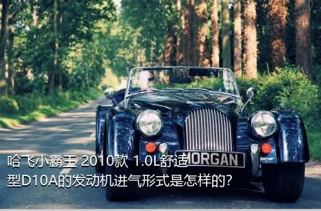 哈飞小霸王 2010款 1.0L舒适型D10A的发动机进气形式是怎样的？